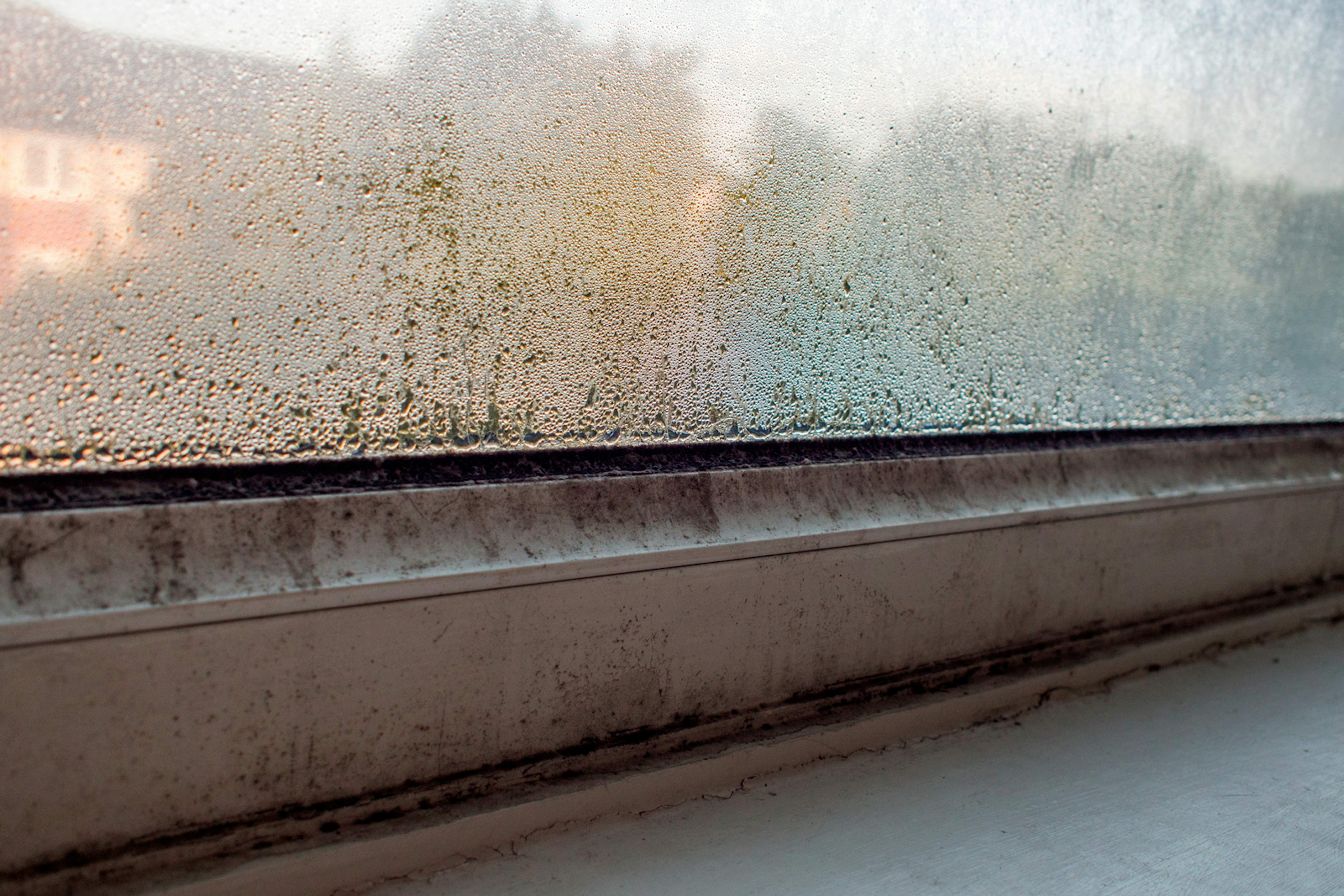 Control of dampness caused by condensation